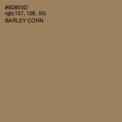 #9D805D - Barley Corn Color Image